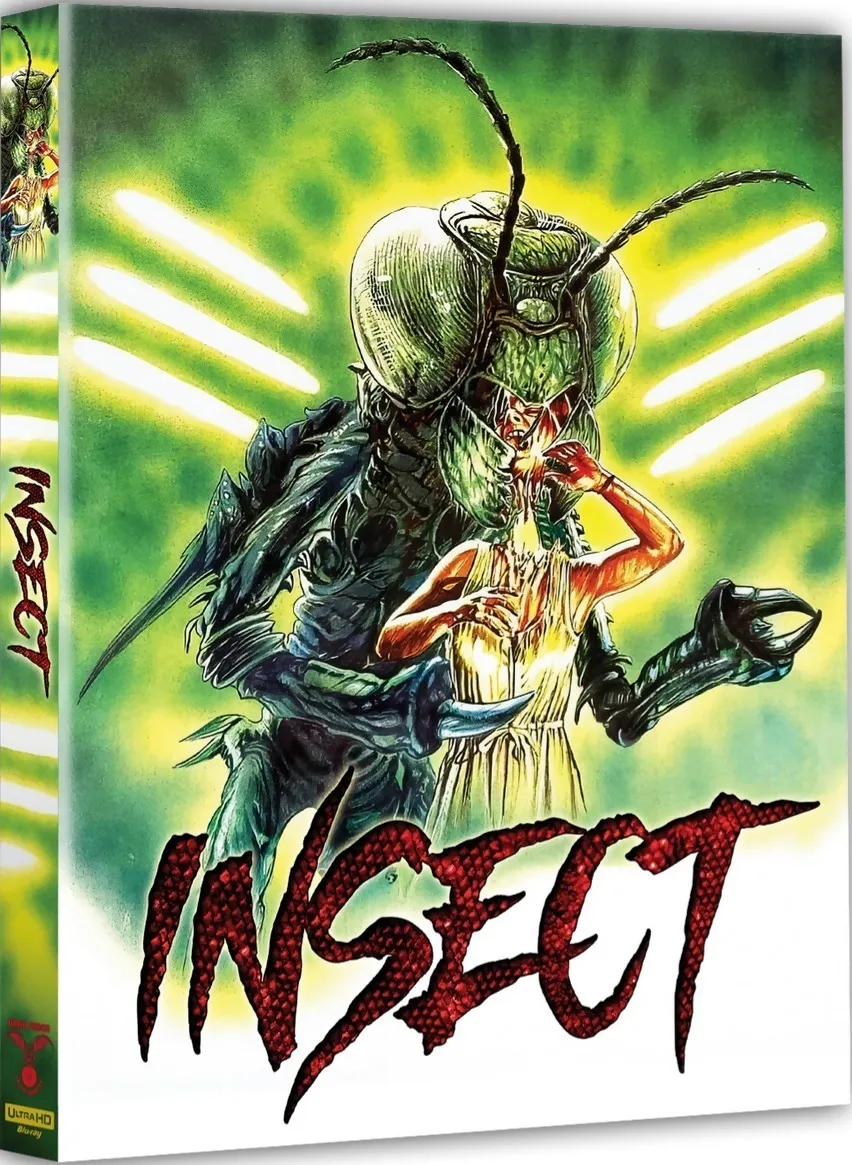 Insect
