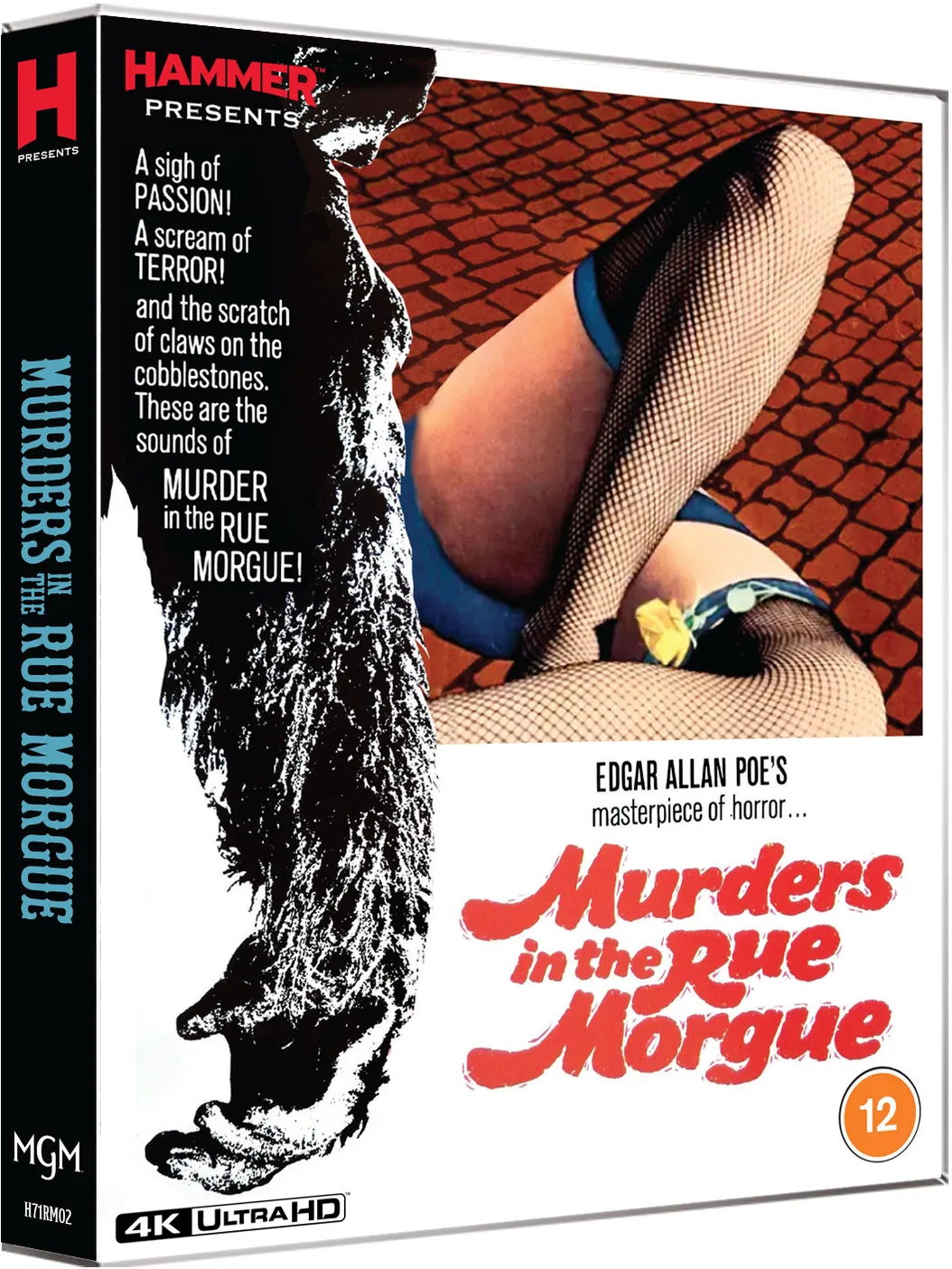 Murders in the Rue Morgue