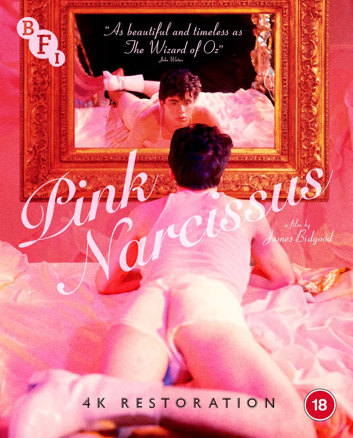 Pink Narcissus