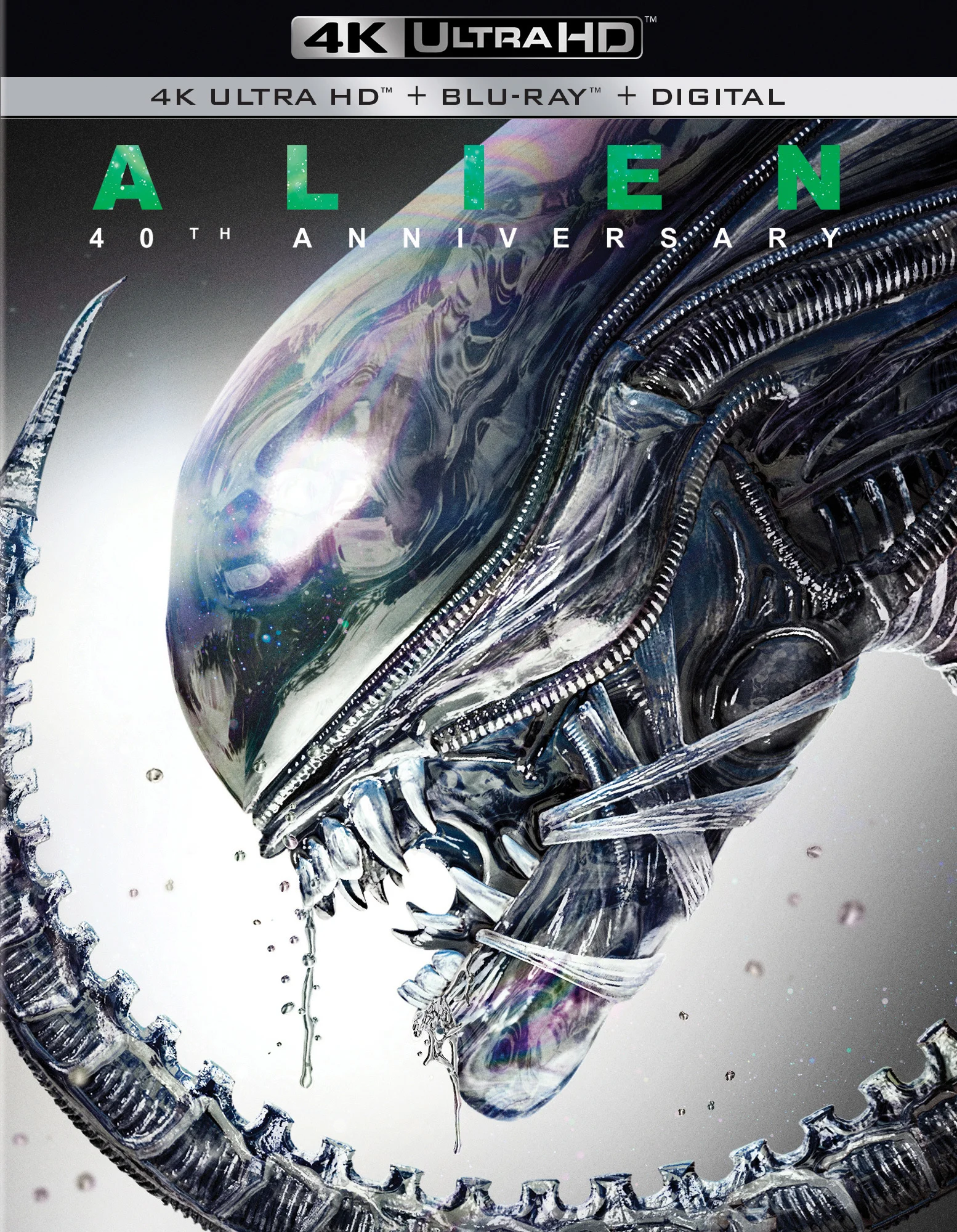 40th Anniversary Edition cover