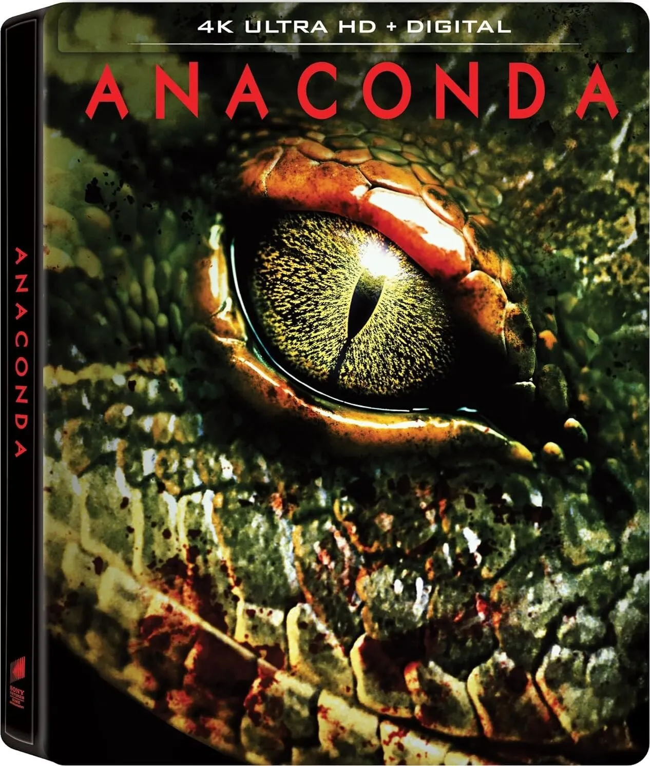 Anaconda