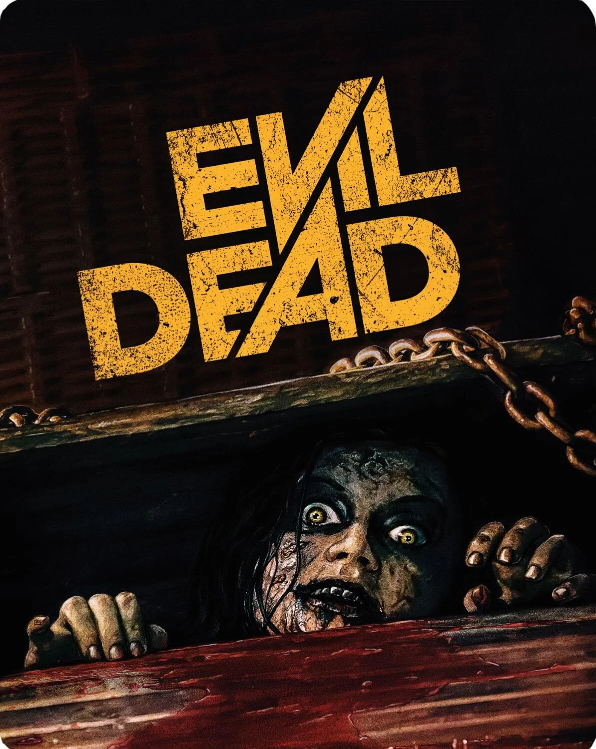 Limited Edition Steelbook cover