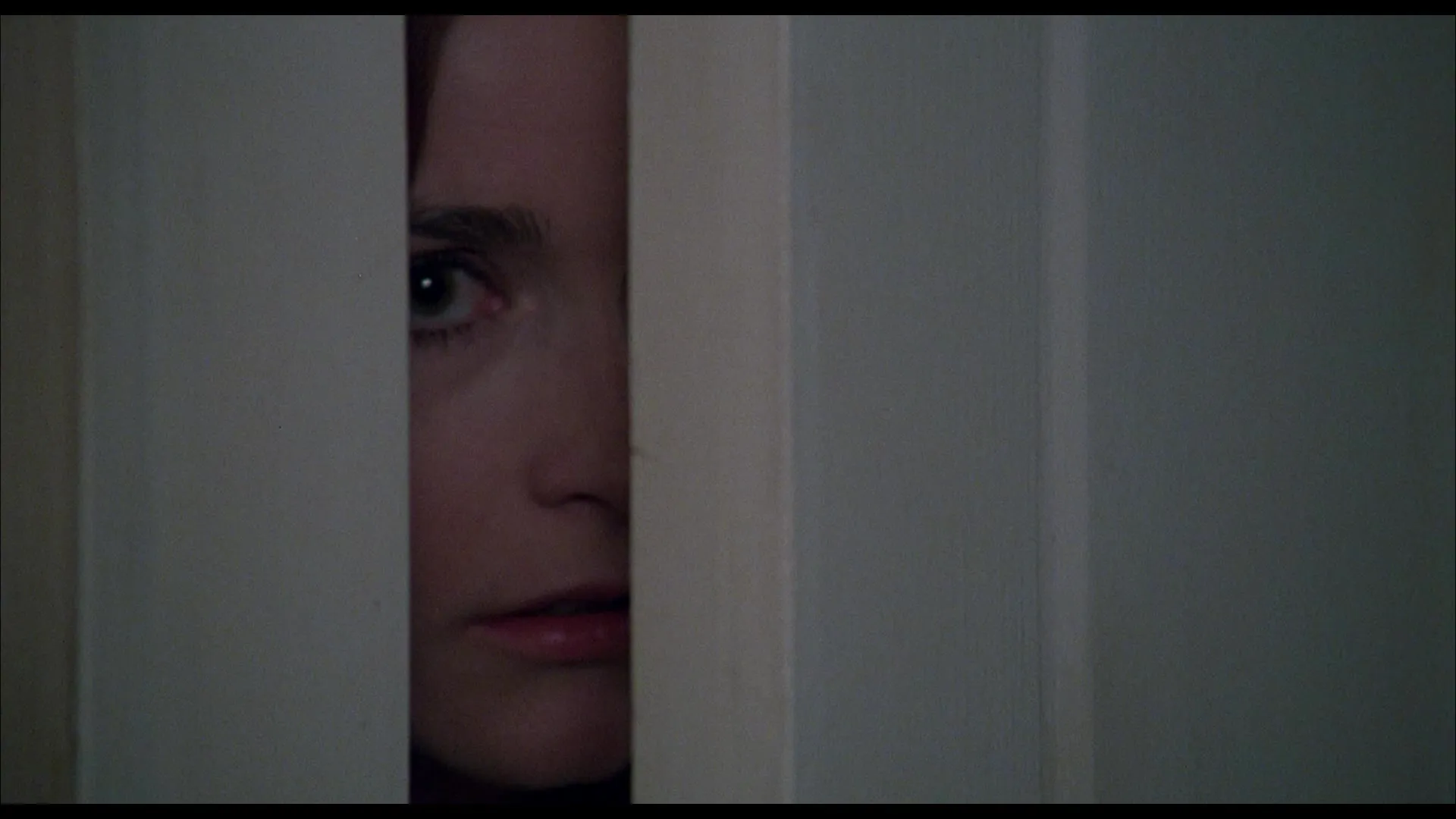 The Amityville Horror 4K screenshot 5