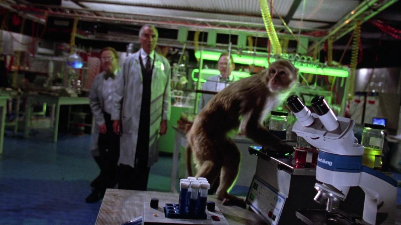 Gremlins 2: The New Batch 4K screenshot 5