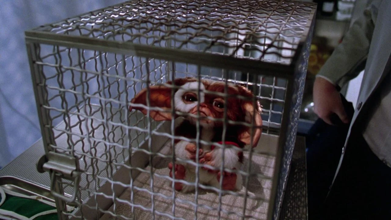Gremlins 2: The New Batch 4K screenshot 6